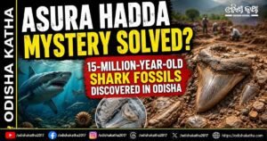 ‘Asura Hadda’ Found in Odisha: Are These Really 15-Million-Year-Old Shark Fossils?